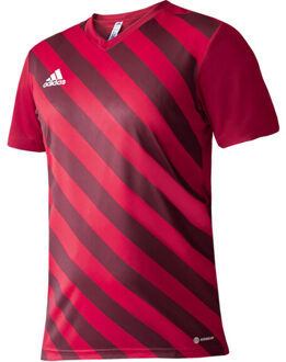 adidas Kinder/kids entrada 22 grafische trui Rood - 116