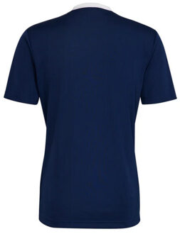 adidas Kinder/kids entrada 22 jersey Blauw - 146/152