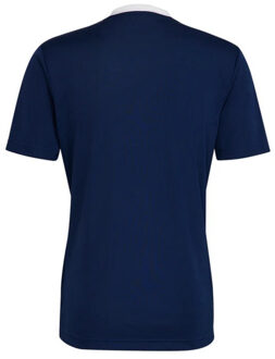 adidas Kinder/kids entrada 22 jersey Blauw - 158/164