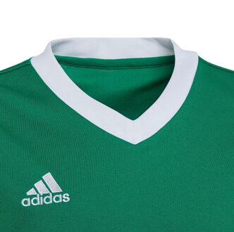 adidas Kinder/kids entrada 22 jersey Groen - 116