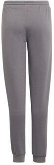 adidas Kinder/kids entrada 22 joggingbroek Grijs - 128
