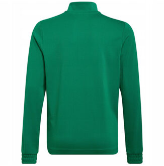 adidas Kinder/kids entrada 22 sweatshirt met kwart ritssluiting Groen - 158/164