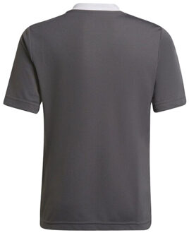 adidas Kinder/kids entrada 22 trainings jersey Grijs - 140