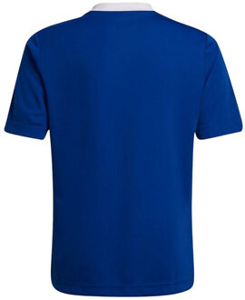 adidas Kinder/kids entrada 22 trainings jersey - maat 164 Blauw