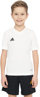 adidas Kinder/kids entrada 22 trainings jersey - maat 164 Wit