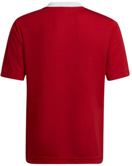 adidas Kinder/kids entrada 22 trainings jersey Rood - 128