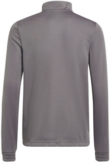 adidas Kinder/kids entrada 22 trainings top Grijs - 140