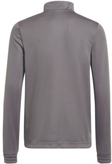 adidas Kinder/kids entrada 22 trainings top Grijs - 146/152