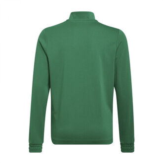 adidas Kinder/kids entrada 22 trainings top Groen - 116
