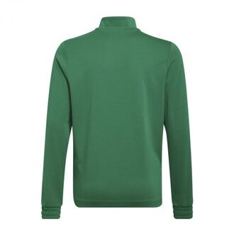 adidas Kinder/kids entrada 22 trainings top Groen - 146/152