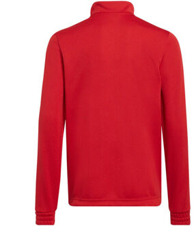 adidas Kinder/kids entrada 22 trainings top - maat 152 Rood