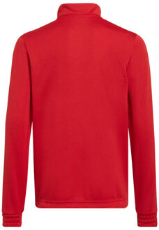 adidas Kinder/kids entrada 22 trainings top - maat 158/164 Rood