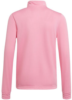 adidas Kinder/kids entrada 22 trainings top Roze - 146/152