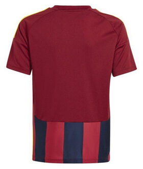 adidas Kinder-/kidsvoetbaltrui met 24 strepen Rood - 128