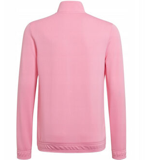 adidas Kinder/kinder entrada 22 jas - maat 164 Roze