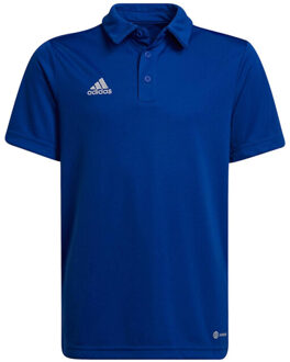 adidas Kinder/kinder entrada 22 poloshirt Blauw - 140