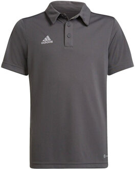 adidas Kinder/kinder entrada 22 poloshirt - maat 146/152 Grijs