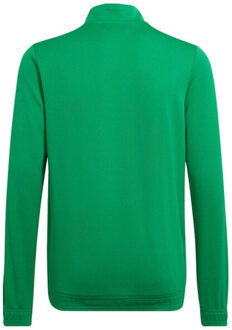 adidas Kinder/kinder entrada 22 track jacket Groen - 116