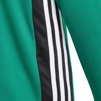 adidas Kinder/kinder regista 18 training top Groen - 128
