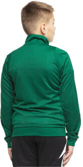 adidas Kinder/kinder tiro 24 trainingsjas - maat 146/152 Groen