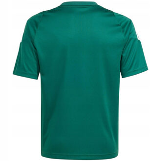 adidas Kinder/kinder tiro 24 trui Groen - 128