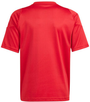 adidas Kinder/kinder tiro 24 trui Rood - 116