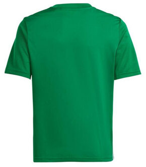 adidas Kinder/kindertafel 23 jersey - maat 140 Groen