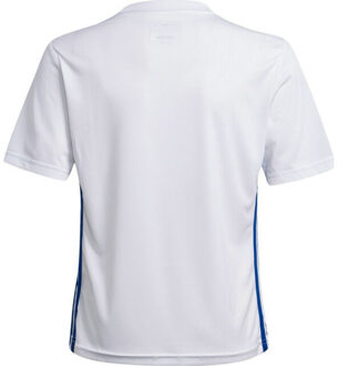 adidas Kinder/kindertafel 23 jersey Wit - 116