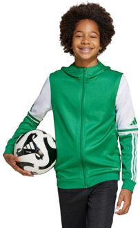 adidas Kinder squadra 25 full zip hoodie Groen - 164/170