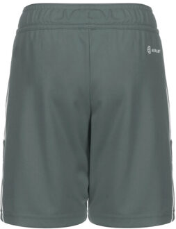 adidas Kinderen/kids tiro 23 league shorts Grijs - 146/152