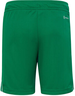 adidas Kinderen/kids tiro 23 league shorts Groen - 116