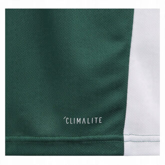 adidas Kinderen/kinderen entrada 18 t-shirt Groen - 116