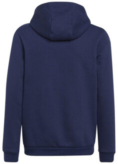 adidas Kinderen/kinderen entrada 22 hoodie Blauw - 128