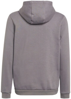 adidas Kinderen/kinderen entrada 22 hoodie Grijs - 140