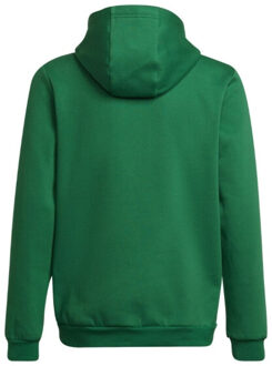adidas Kinderen/kinderen entrada 22 hoodie Groen - 116