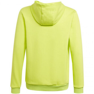 adidas Kinderen/kinderen entrada 22 hoodie Groen - 116