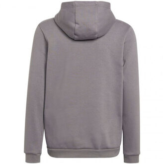 adidas Kinderen/kinderen entrada 22 hoodie - maat 140 Grijs