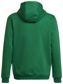 adidas Kinderen/kinderen entrada 22 hoodie - maat 158/164 Groen