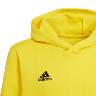 adidas Kinderen/kinderen entrada 22 hoodie - maat 164 Geel
