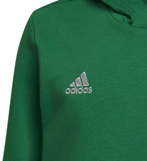 adidas Kinderen/kinderen entrada 22 hoodie - maat 164 Groen