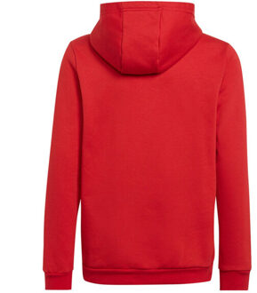 adidas Kinderen/kinderen entrada 22 hoodie Rood - 164