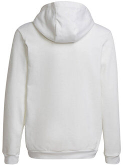 adidas Kinderen/kinderen entrada 22 hoodie Wit - 128