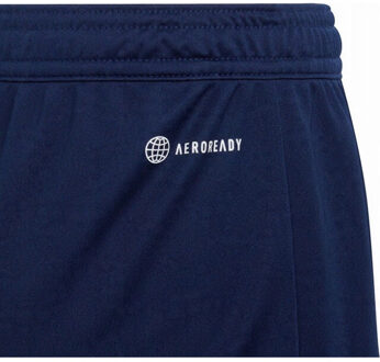 adidas Kinderen/kinderen entrada 22 korte broek - maat 116 Blauw