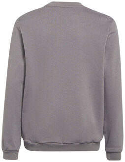 adidas Kinderen/kinderen entrada 22 sweatshirt Grijs - 140