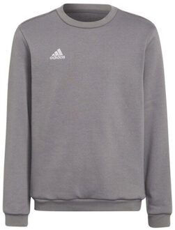adidas Kinderen/kinderen entrada 22 sweatshirt Grijs - 146/152