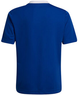 adidas Kinderen/kinderen entrada 22 t-shirt Blauw - 128