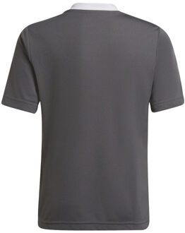 adidas Kinderen/kinderen entrada 22 t-shirt Grijs - 116