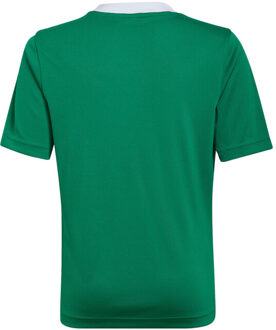 adidas Kinderen/kinderen entrada 22 t-shirt Groen - 140