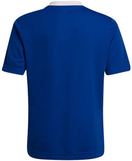 adidas Kinderen/kinderen entrada 22 t-shirt - maat 146/152 Blauw