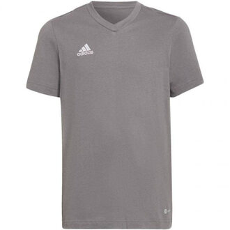 adidas Kinderen/kinderen entrada 22 t-shirt - maat 152 Grijs